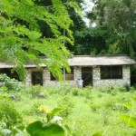 home_pg1 Proposed Deschapelles Library: former stone cattle barn